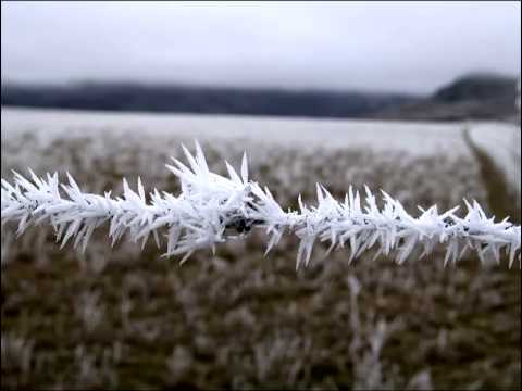 Hoar Frost in Central Otago - YouTube