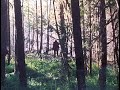 Bigfoot Sighting July 18th 2020 Mt Hood... Bigfoot followed our Horse... Full 2hr Trail Ride Video