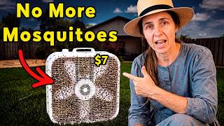 Why Mosquitoes Never Enter Your Neighbor’s Yard — Simple $2 Amish Way