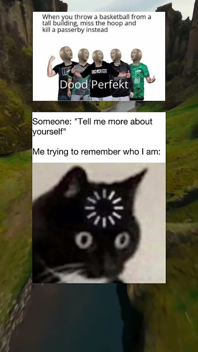 Dood Perfekt 😂 #funny #memes