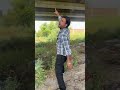 Aaja Ke Aaj tufan ham uthaenge#trending #viral #youtubeshorts #hindisong 💕🌹❤️