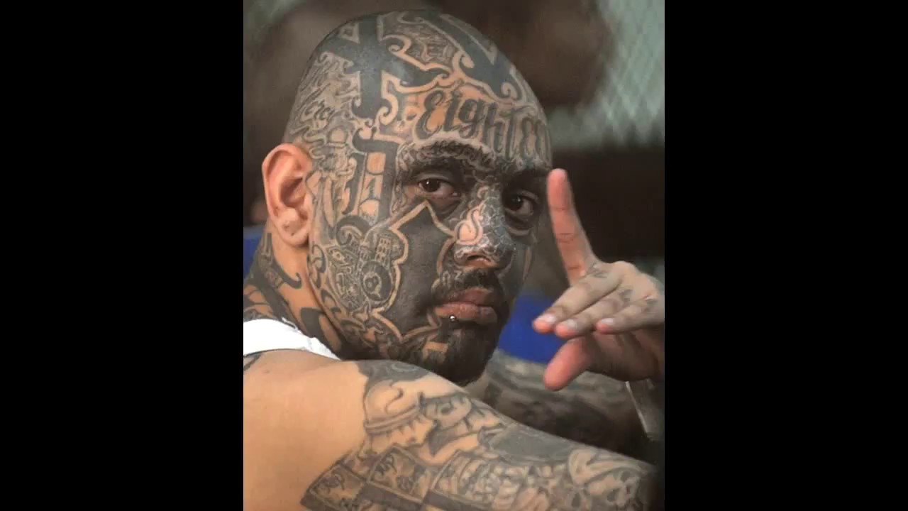 Ranked: Vladimir vs. Annie