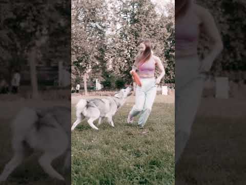 Cute girl playing with dog 😍🐶Funny and cute dog videos.