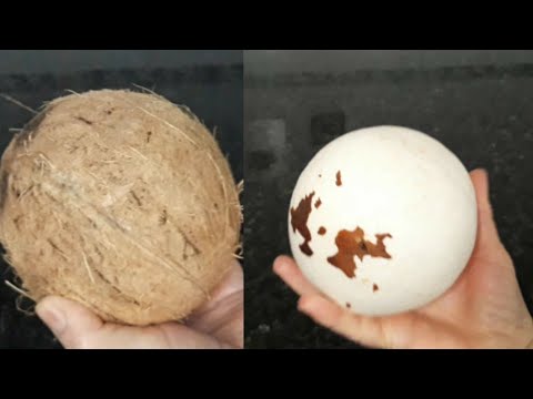 Vídeo: Como Descascar Um Coco