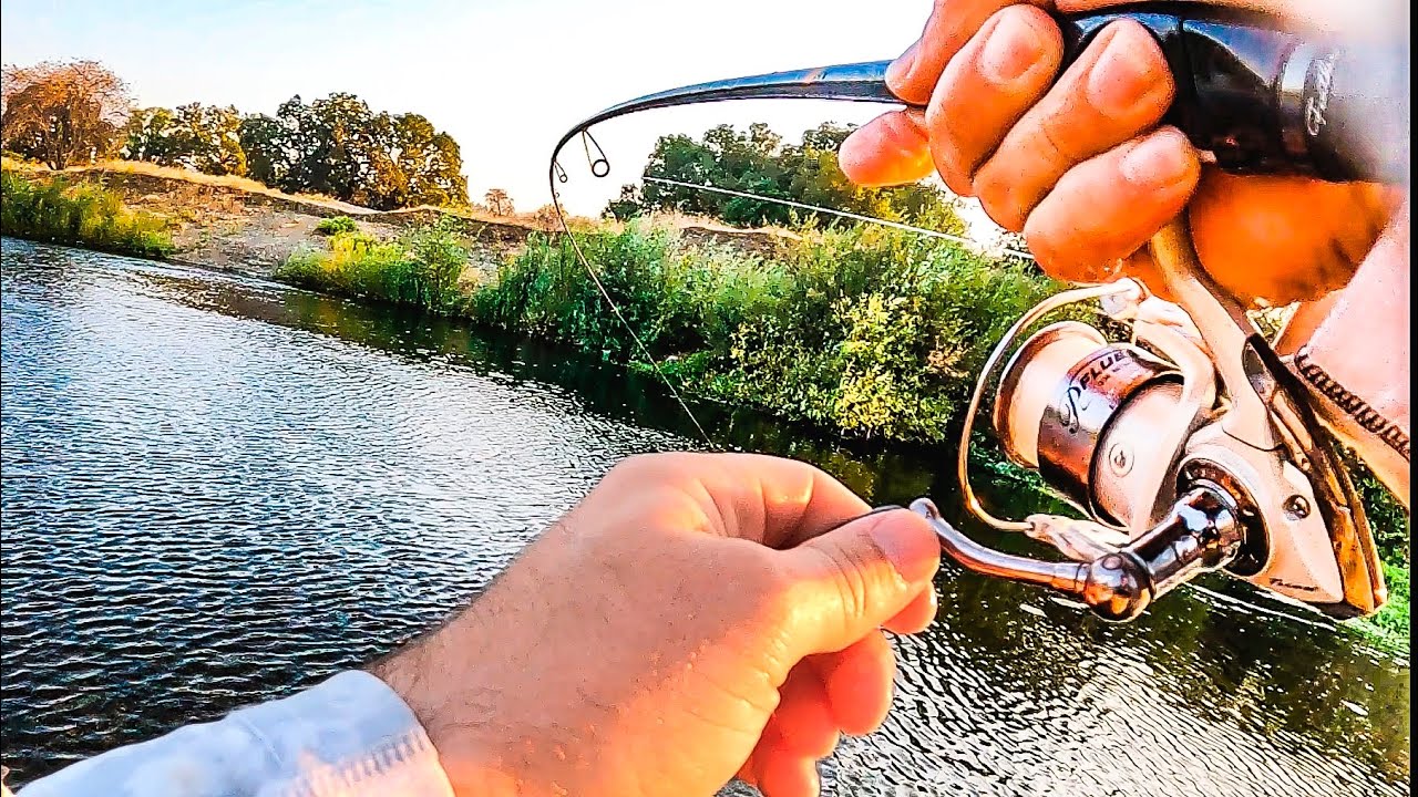 River fishing in wine country | Russian River | late summer evening fish (found ‘em**)