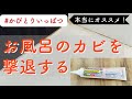 【かびとりいっぱつ】入居して10年目にして初めてカビ取りする