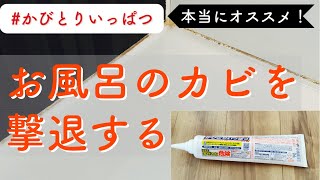 【かびとりいっぱつ】入居して10年目にして初めてカビ取りする