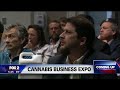 Fox 2 Money Works | Cannabis Legal Group & Vicente Sederberg Cannabis Business Seminar
