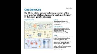 Information 1647-Epi-Allele Silencing Prevents Haploinsufficiency in DGD Guide