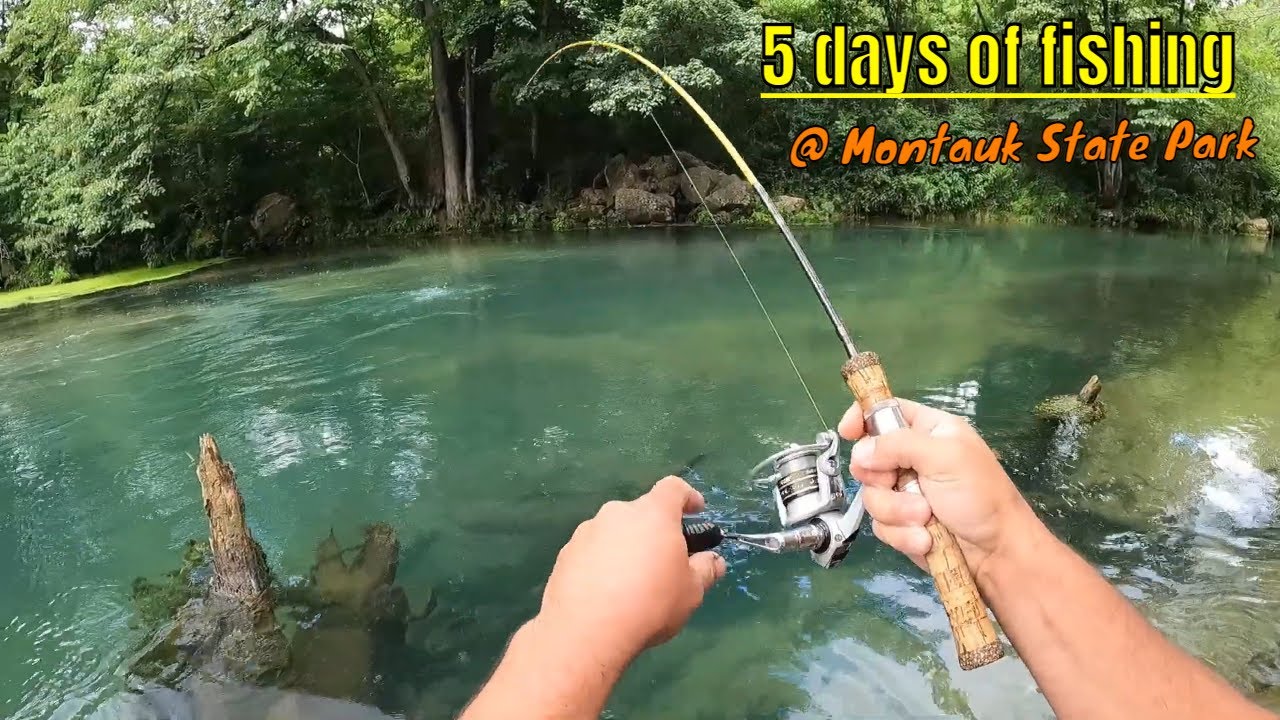 Trout Fishing at Montauk State Park YouTube