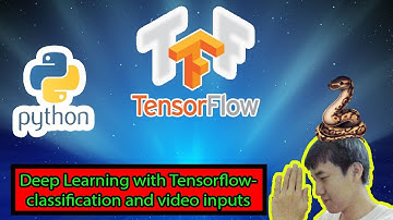 Tensorflow classification and image/video input (TH)