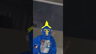 THIS IS WHY YOU SHOULD SUB TO ME #viral #gorillatag #vr #meta #funny