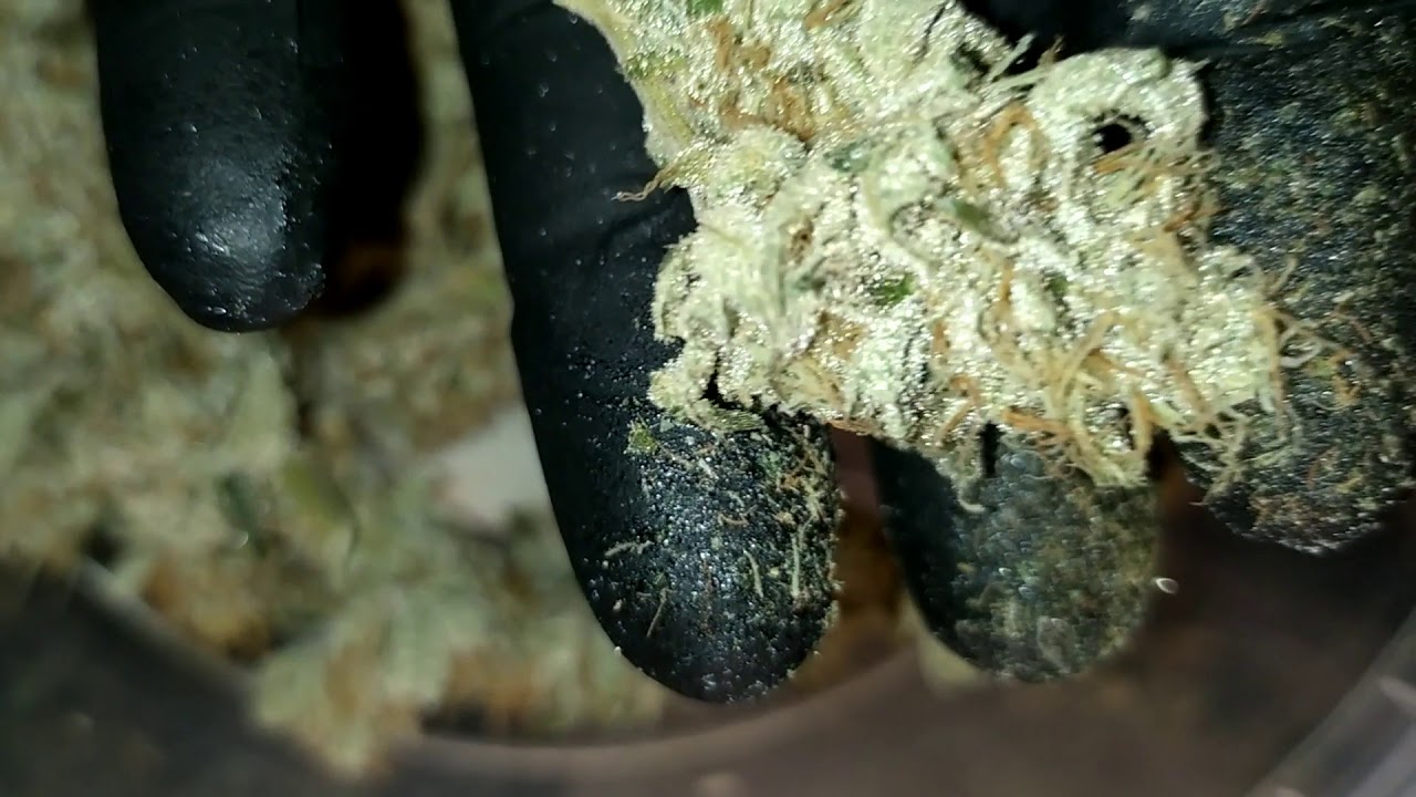 Banana cake 🍌🧁🥶😱🎯🥊🔝⛽💚