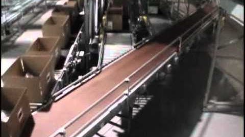 Sawtooth Merge - Belt Merge