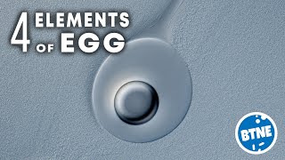 Chicken Egg Under The Microscope - Dark Field, Oblique Lighting and DIC Microscopy Techniques.