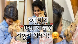 Basar notun sodosso ❤| kotha theke anlam? Koto nilo ? Persian cat | nafaisa nisha vlogs |bd vlogs