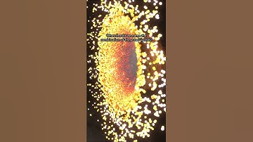 Mercury vs. Venus at 50 km/s 😮💥 #spacesim