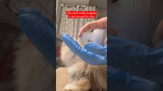 She Had Poop Stuck On Her Fur Again