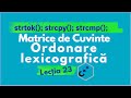 Ordonarea lexicografică a cuvintelor dintr-un șir în C++ | strtok() și strcmp()