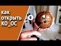 КАК ОТКРЫТЬ КОКОС и собрать КОКОСОВОЕ МОЛОЧКО