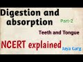 Digestion and absorption (Part-2) (Teeth and Tongue) @Jayabiology #cbsebiology #neetbiology