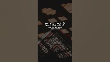 أفمن كان مؤمنا كمن كان فاسقا لا يستون || القارئ: اسلام صبحي