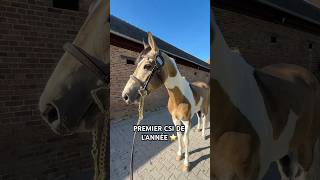 Arrivée au Compiègne Classic pour le premier CSI de l’année avec Ieldorado ✨ #cheval #equitation