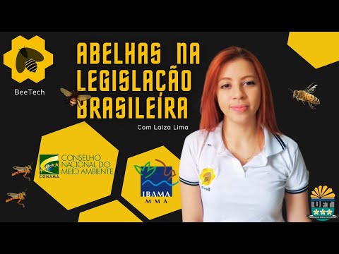 Legislação