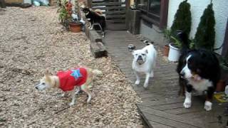 MVI_0107.AVI