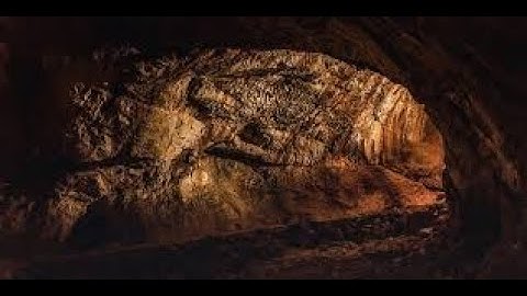 Totally Normal 11:17 Second Video