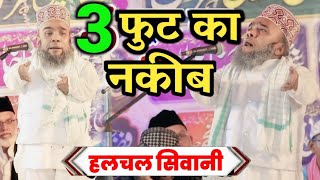 3 फूट का नकीब Halchal Siwani ✓New Nizamat 2022 19 July 2022