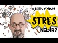 SoruYorum - Stres Nedir?