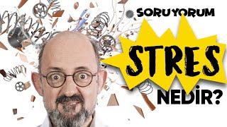 SoruYorum - Stres Nedir?