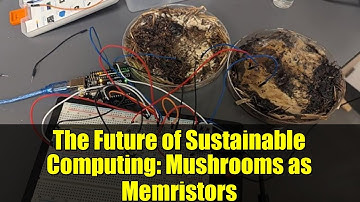 The Future of Sustainable Computing: Mushrooms as Memristors