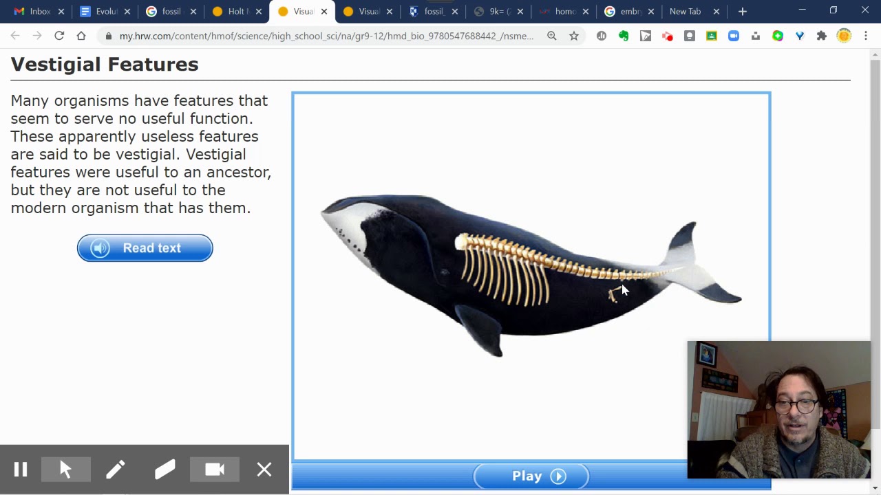 Evolution study. Evolution study