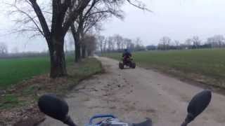 Bashan 200