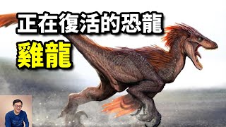 把雞返祖成恐龍克隆猛犸象都在進行去侏儸紀公園你準備好了嗎【老肉雜談】