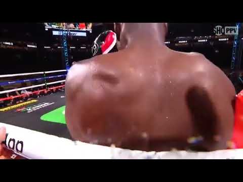 Video: Hvem bokser chad johnson?
