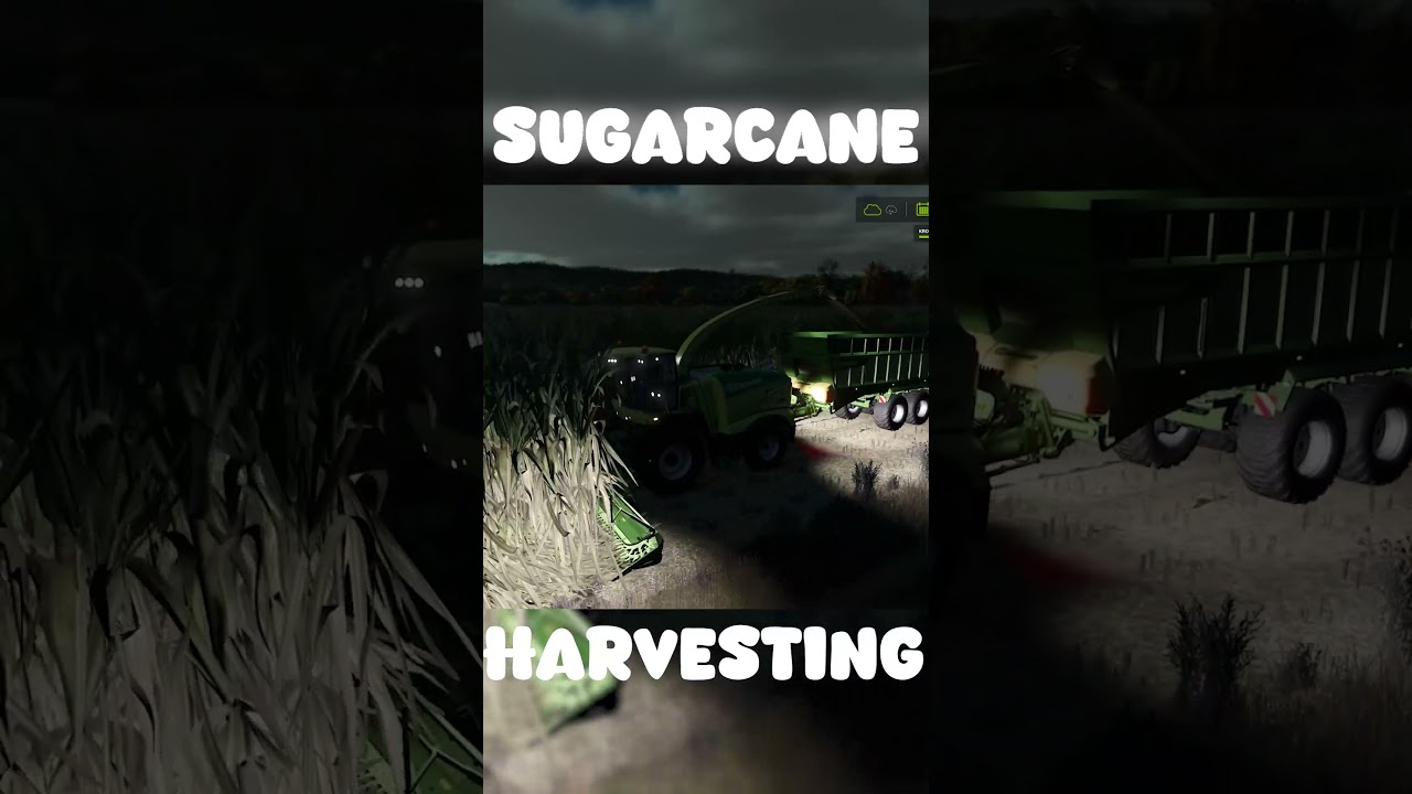 SUGARCANE Harvesting Made EASY