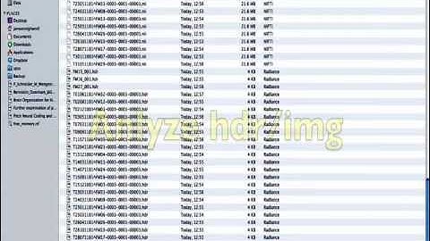 dcm2nii using bash script