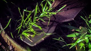 How Lawn Mower Blades Cut Grass (at 50,000 FRAMES PER SECOND)  Smarter Every Day 196