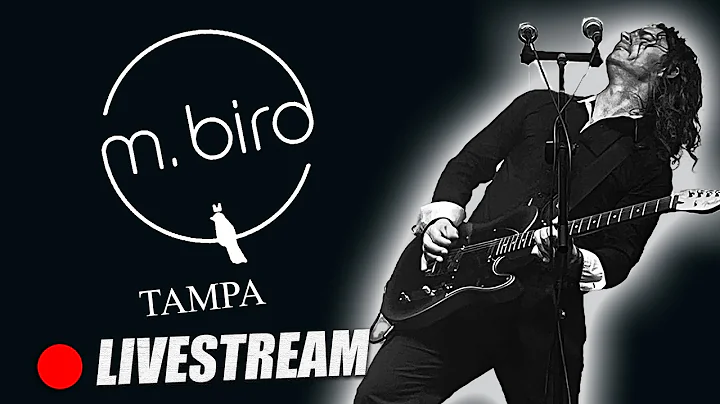 M Bird  - Set 2 | 10/18/2025 |  Tampa , FL | Saturday | #chill #Shorts #Livemusic #brunch