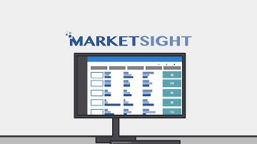 MarketSight: Data Analysis and Visualization
