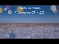 Охота на зайца - Тропление ОТ и ДО