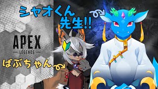 【APEX】初コラボで一生懸命走り回るケモノ！！#2【VTuber/蚕鵺いづく】