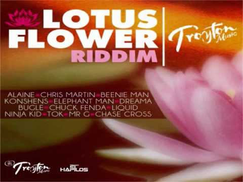 Lotus flower djimboh remix Lotus flower djimboh remix