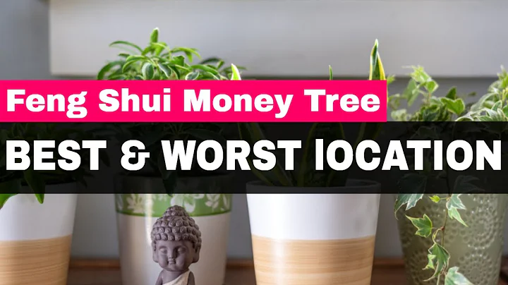 Feng Shui Money Tree - Best & Worst Locations - DayDayNews