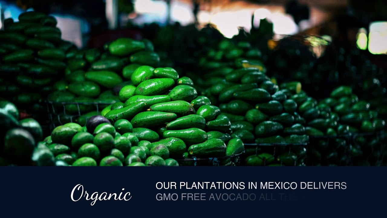 Organic Grown Vegetables