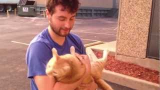RT Life - Joe's Day Out