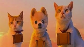 いいなCM リクルート じゃらん にゃらん 2013 師匠と弟子の旅 俊介くん 検索動画10 いいなCM リクルート じゃらん にゃらん 2013 師匠と弟子の旅 俊介くん 検索動画 10